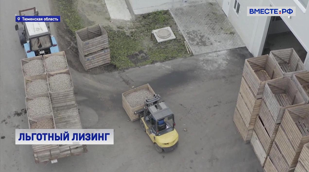 Local video
