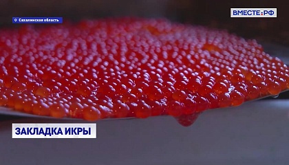 На Сахалине планируют увеличить популяцию лососевых