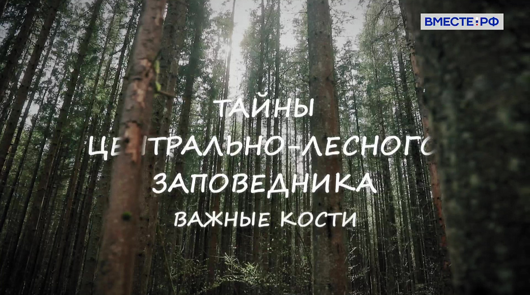 Local video