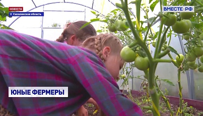 РЕПОРТАЖ: Юные аграрии Сахалина