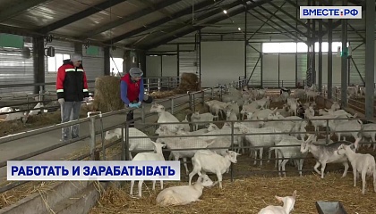 У фермеров должно быть больше возможностей зарабатывать, считает сенатор Борисов