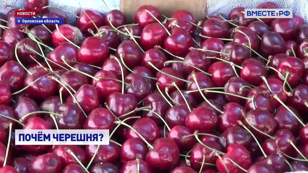 Local video