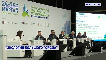 Сенаторы ведут большую законодательную работу в сфере экологии, заявила Матвиенко