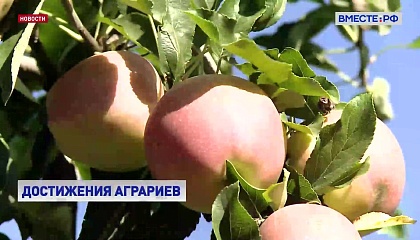 Российские аграрии обеспечивают продовольственную безопасность страны