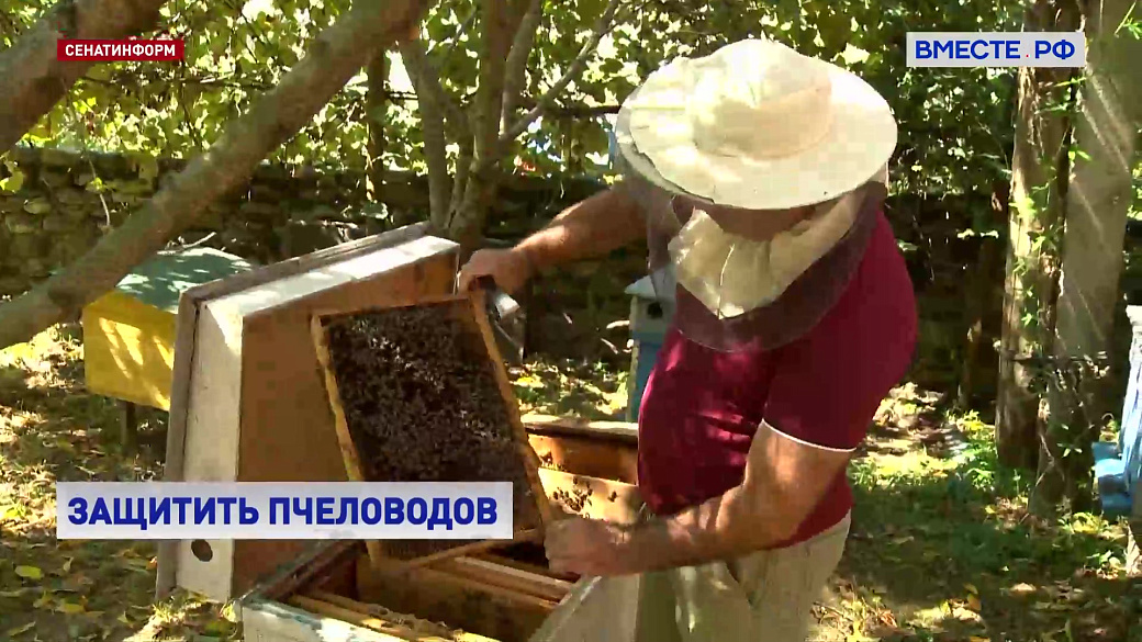 Local video