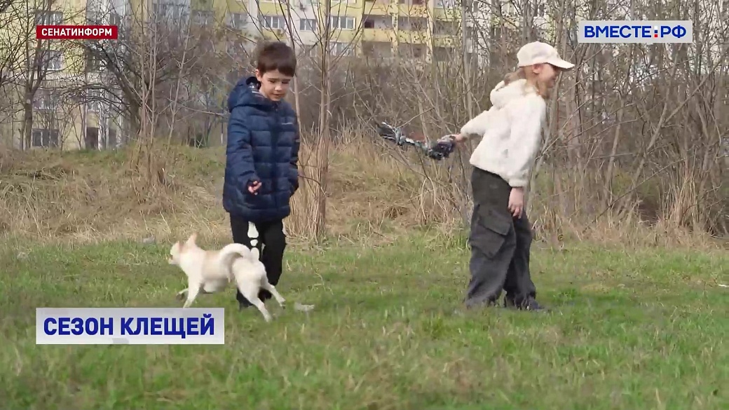 Local video