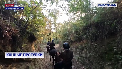 Конные прогулки в Сочи: от первого опыта до полноценных тренировок