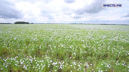 Вместе по России. Курганская область 