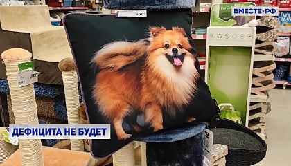 Корм для животных не исчезнет с полок российских магазинов