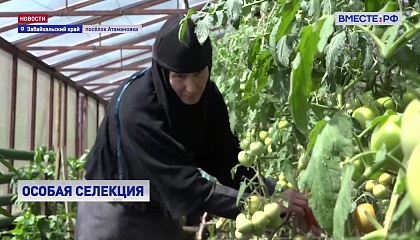 РЕПОРТАЖ: Цветы и фрукты Забайкалья