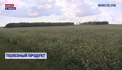 РЕПОРТАЖ: Полезный продукт