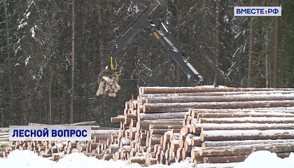 В Минпромторге предложили временно обнулить таможенные пошлины на вывоз продукции из древесины