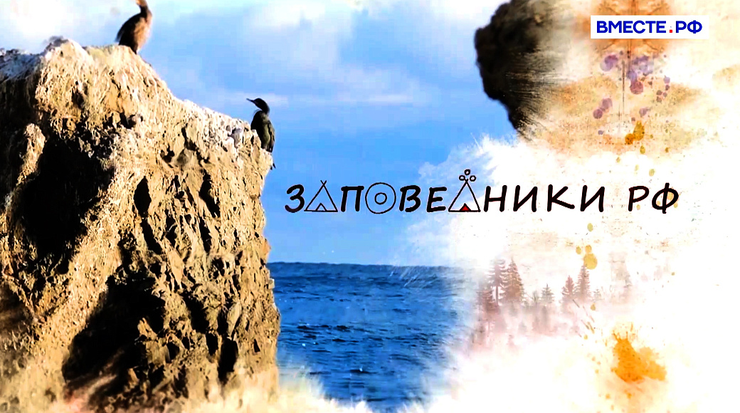 Local video