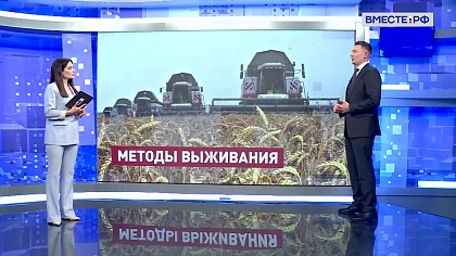 Сказано в Сенате. Александр Двойных. Агрострахование: в центре внимания Совета Федерации