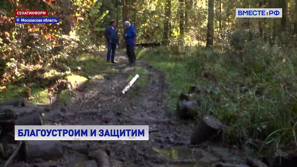 Local video