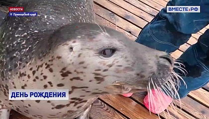 В Приморском океанариуме отпраздновали 7‑летие ларги Юпитера