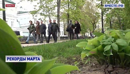 Март в столичном регионе в этом году может стать самым теплым за всю историю метеонаблюдений