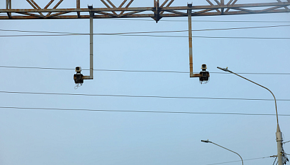 Автомобилистам рассказали, как обжаловать штрафы