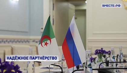 Россия и Алжир должны увеличивать товарооборот, считают в СФ