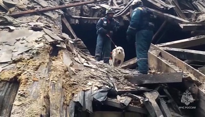 Спасатели МЧС России продолжают разбор завалов в «Крокусе»