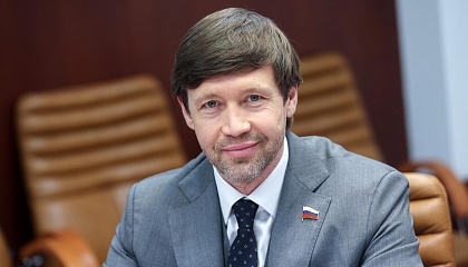Шейкин: бороться с кибермошенниками нужно более строгими мерами