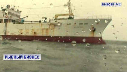 Сенатор Долгов заявил о необходимости обновления рыбопромыслового флота