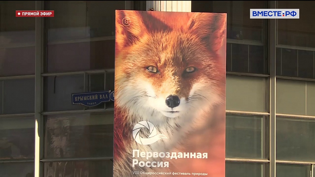 Local video