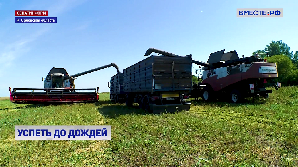 Local video