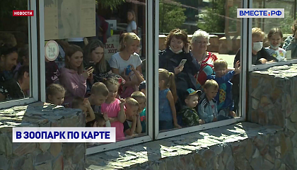 Зоопарки могут включить в программу «Пушкинская карта»
