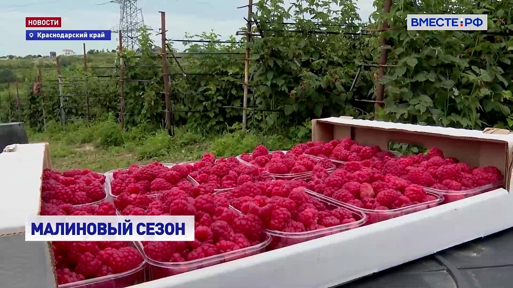 Local video