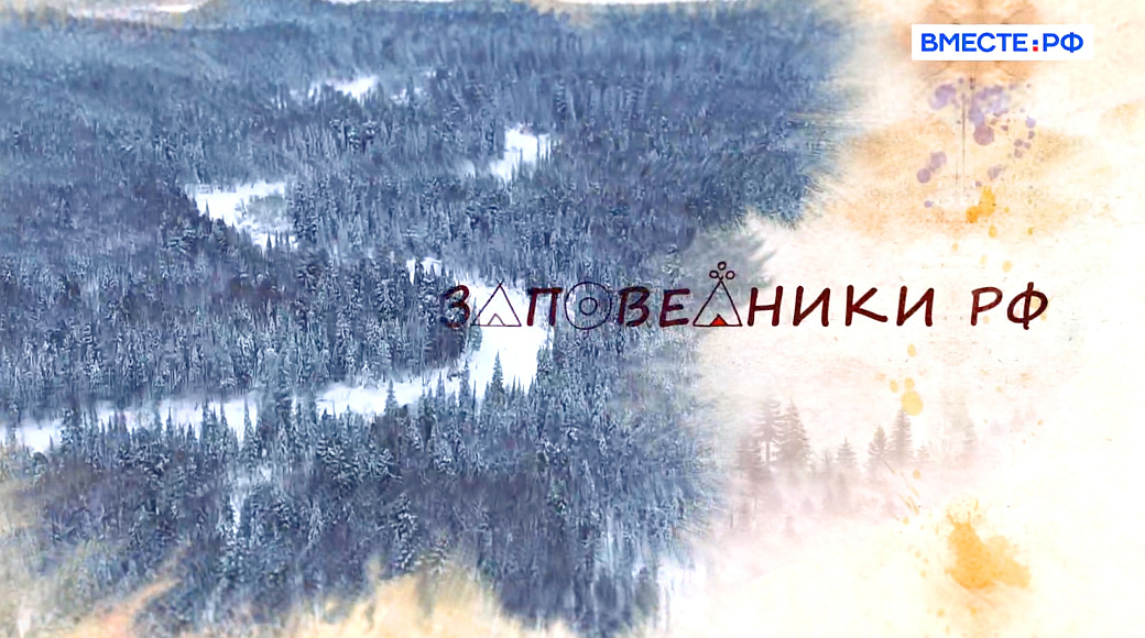 Local video