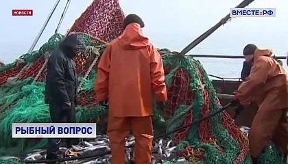 Проблемы рыболовецкой отрасли обсудили в Совете Федерации