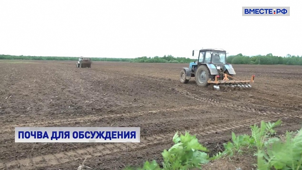 Local video