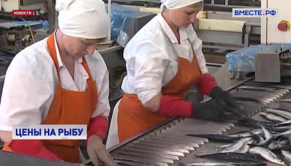 Правительство России повысило прозрачность ценообразования на рыбу