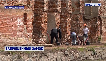 Под Калининградом волонтеры восстанавливают заброшенный замок Тевтонского ордена