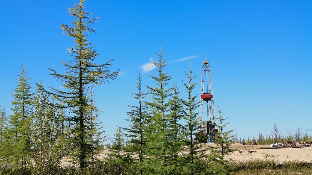 Фото: Курочкин Алексей