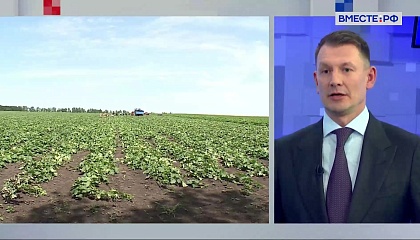 С 2027 года краткосрочные кредиты для сельхозпроизводителей будут привязаны к агрострахованию