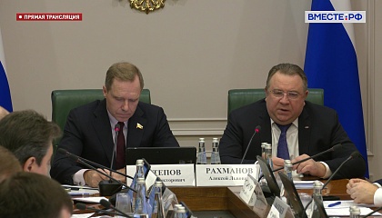 Заседание Комитета СФ по экономической политике. Запись трансляции 22 февраля 2023 года