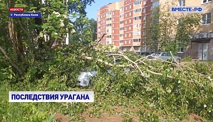 В Сыктывкаре ураган повалил деревья