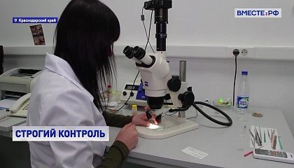 РЕПОРТАЖ: На страже Россельхознадзор