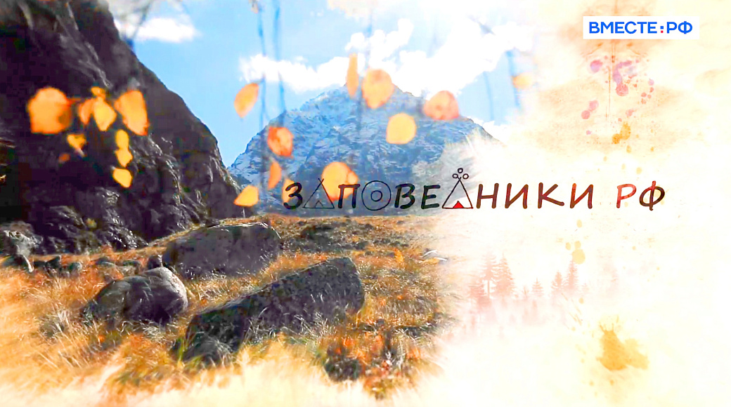 Local video