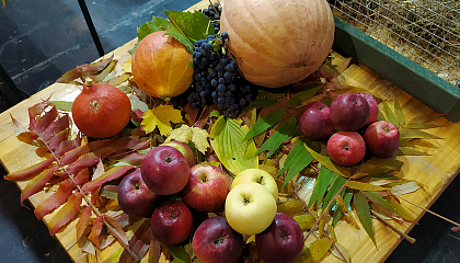 До 24 апреля можно проголосовать за лучший «Народный органический бренд»