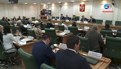 Заседание Совета по делам инвалидов при Совете Федерации. Запись трансляции 6 декабря 2017 года