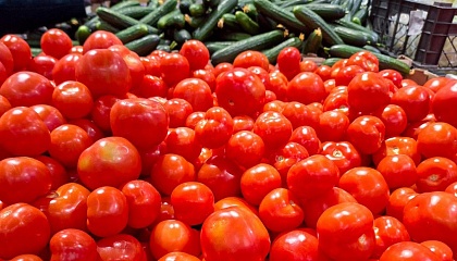 Россия определила лучшие органические бренды