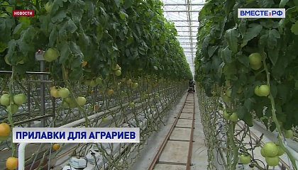 Сенатор Двойных предложил развивать в Липецкой области сельхозкооперативы