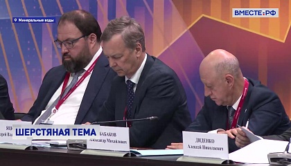 Развитие отечественного рынка шерсти обсудили на заседании Межведомственного координационного штаба в Минводах