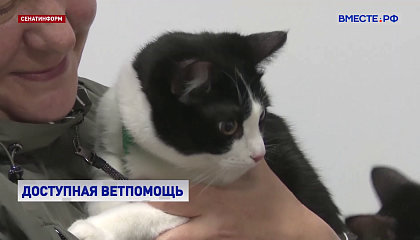 Сенаторы обсудили доступность ветеринарной помощи