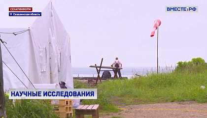 Студенты-биотехнологи исследуют микромедуз на Сахалине