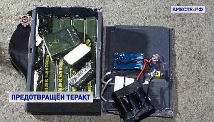 В Грузии изъята взрывчатка, которую пытались провезти из Одессы в Воронеж