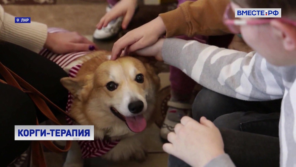 Local video
